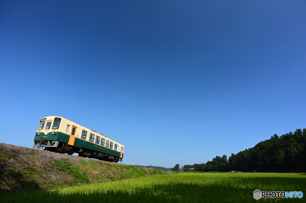 どこまでもブルー
