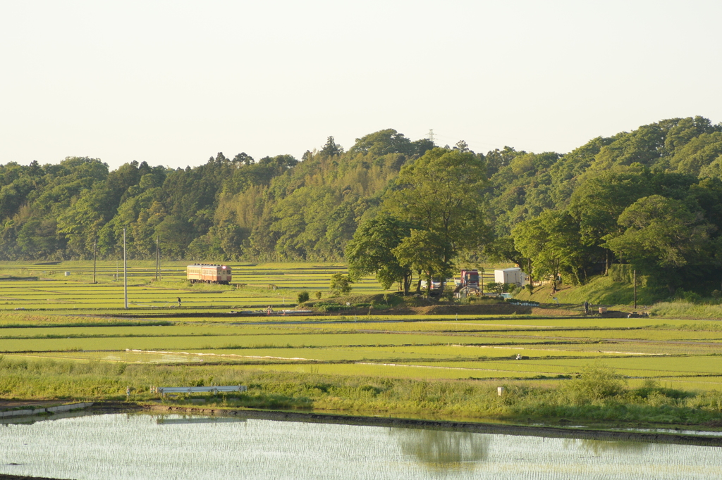 田園風景１