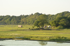 田園風景１