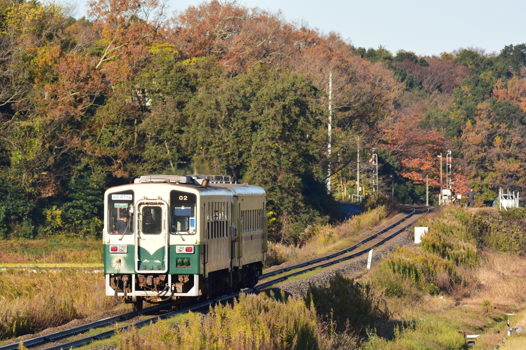 田園の紅葉