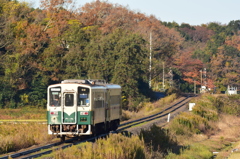 田園の紅葉