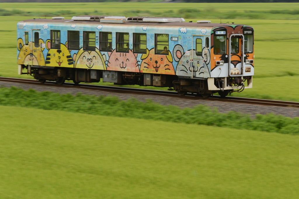 アニマル緑の中を駆ける