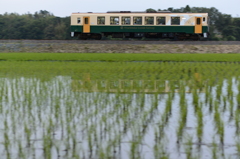 帰宅列車～曙光の大地～