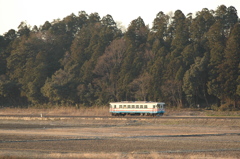 のどかな風景１