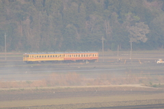 農作業ご苦労様です