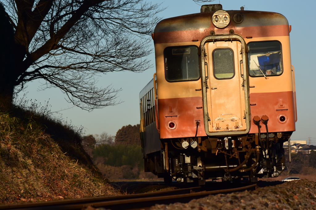 朝の列車