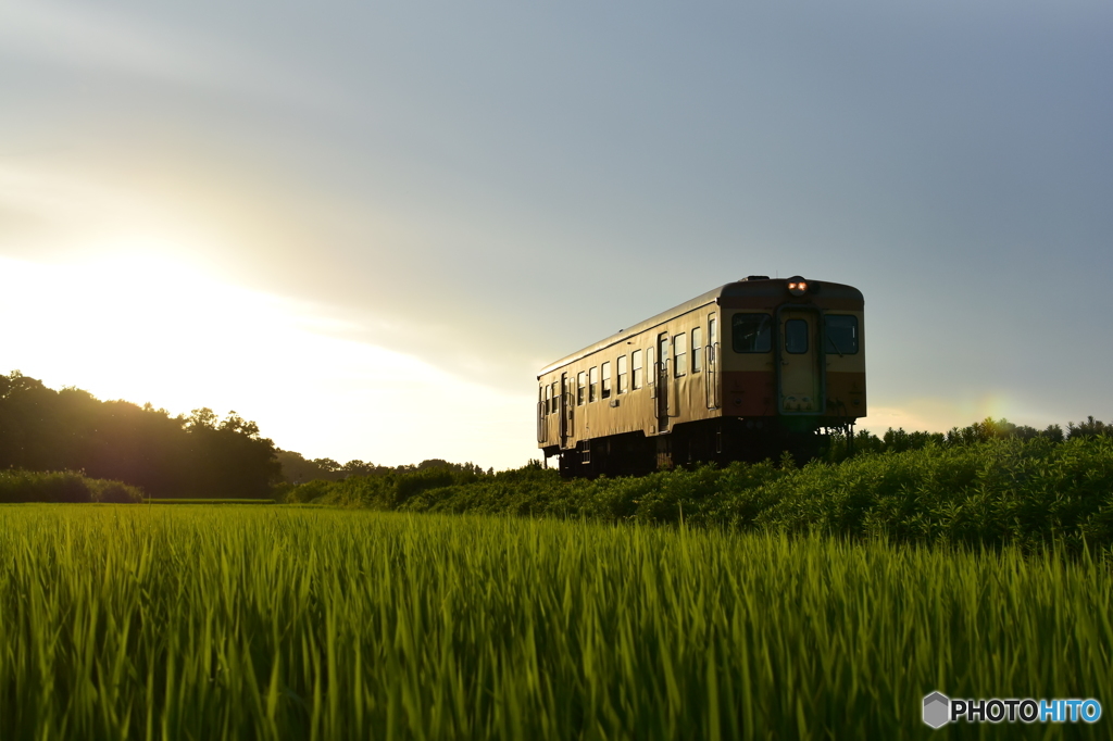 田園の夕日