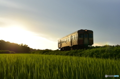 田園の夕日