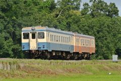 旧型の通勤列車