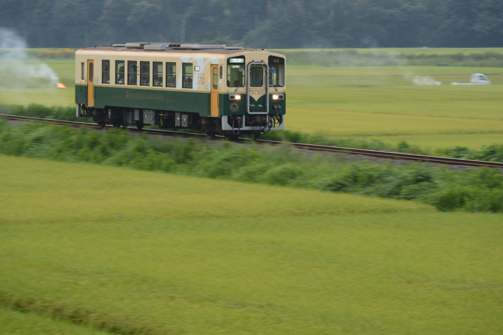 たき火の炎