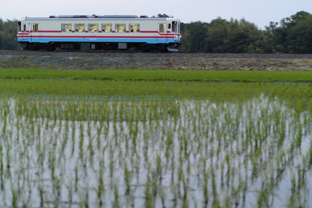 帰宅列車～ミキ300～