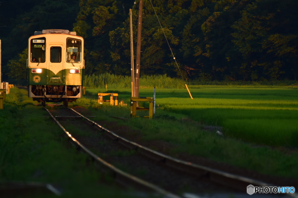 田園の夕暮れ