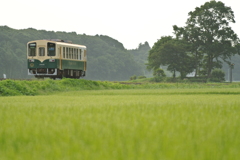 田のステージを行く