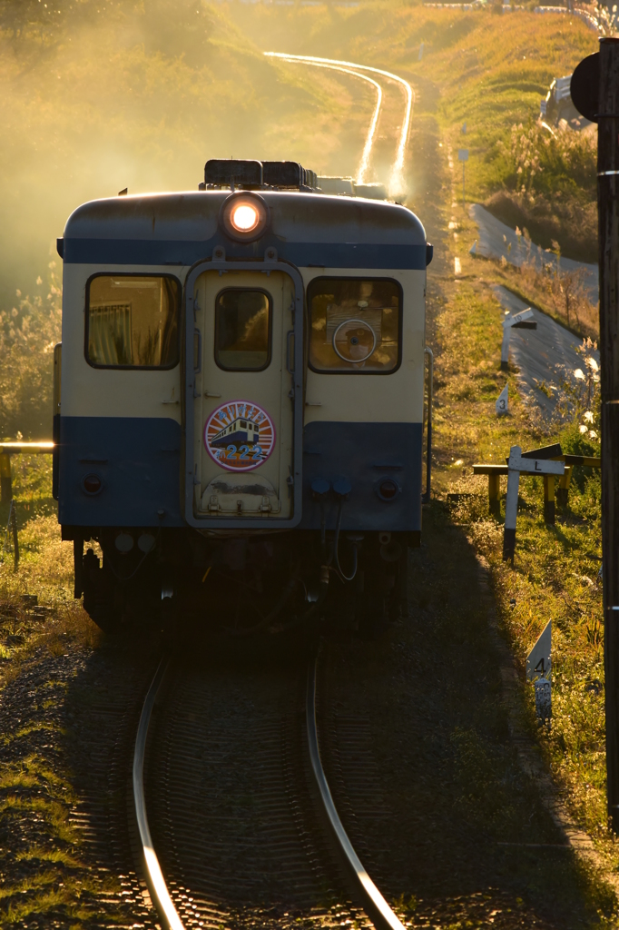 ありがとうキハ222(2)