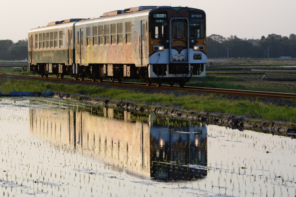 夕暮れの水鏡