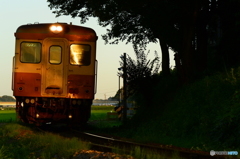 夕日差す