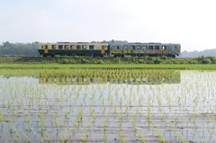 久しぶりの晴れ