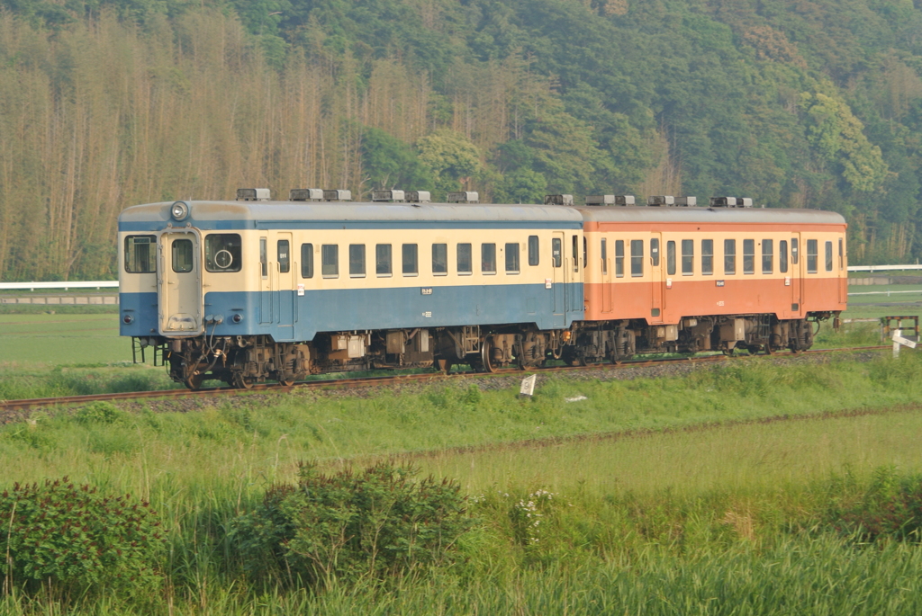 旧型気動車二連