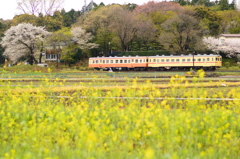 春色の田園