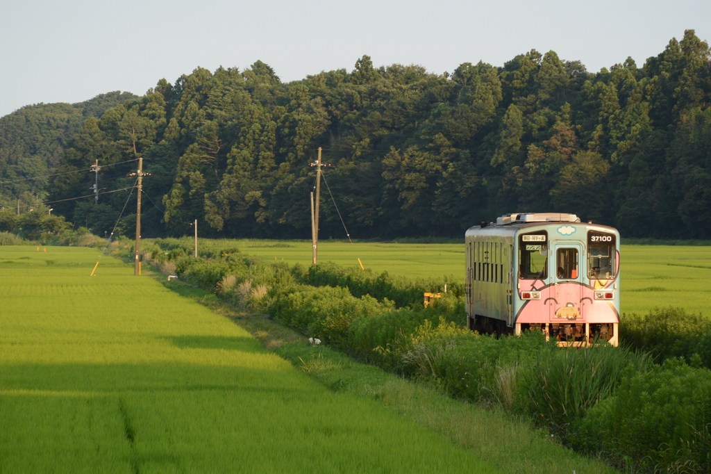 水田地帯夕照