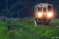 ギラッ
