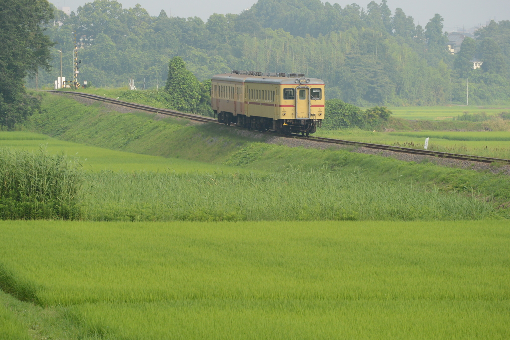 築堤に伸びる影
