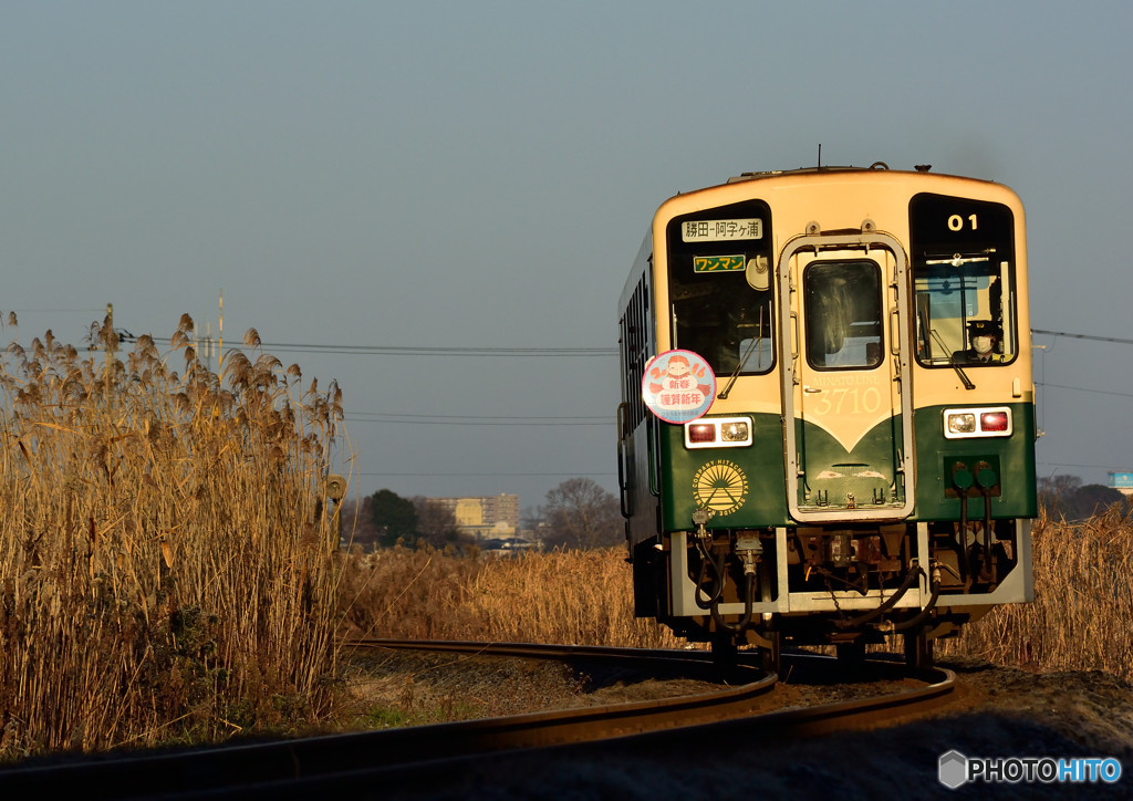 謹賀新年 3710-01