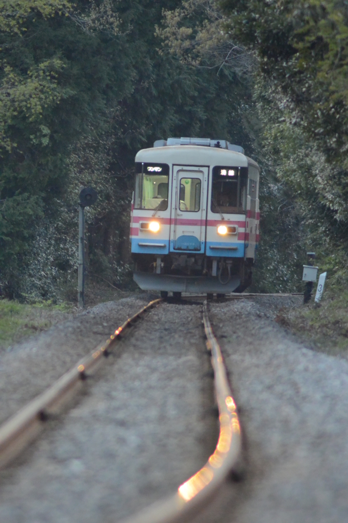 夕暮れの気動車