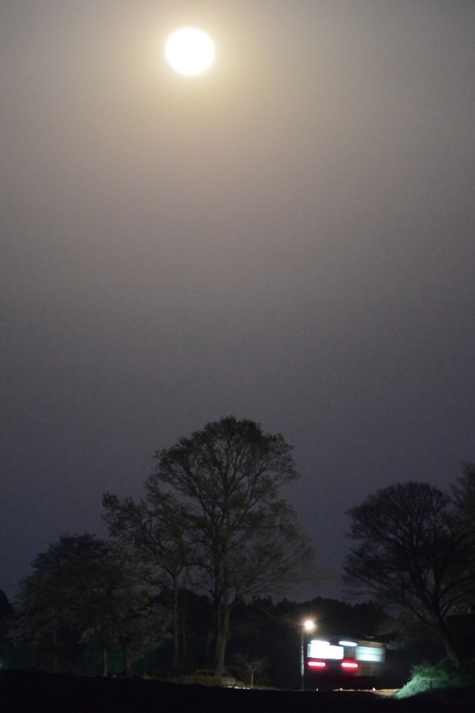 満月に照らされて