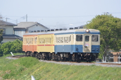 三色の気動車～S字区間にて～