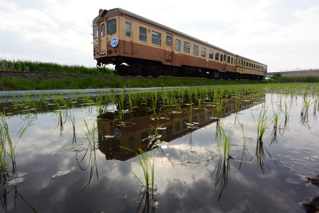 旧型気動車水鏡