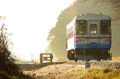 眩しい風景