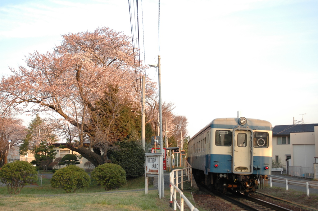 日工前駅の桜２