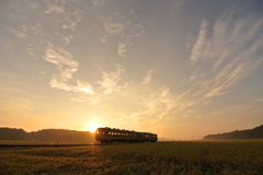 水田地帯の朝日