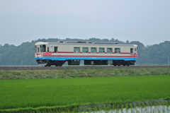 綺麗です 綺麗です