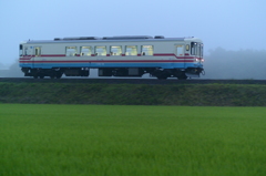 夕霧のミキ