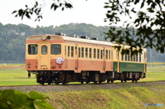 ナットウ列車