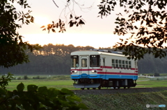 朝ミキ