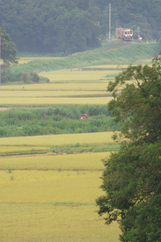 水田地帯俯瞰１