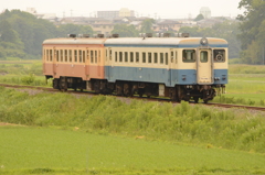 水田地帯を行く