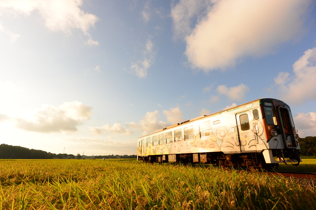 夕日を眺める動物たち