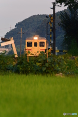 夏模様