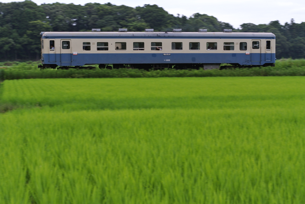 夏，窓開け列車