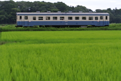 夏，窓開け列車