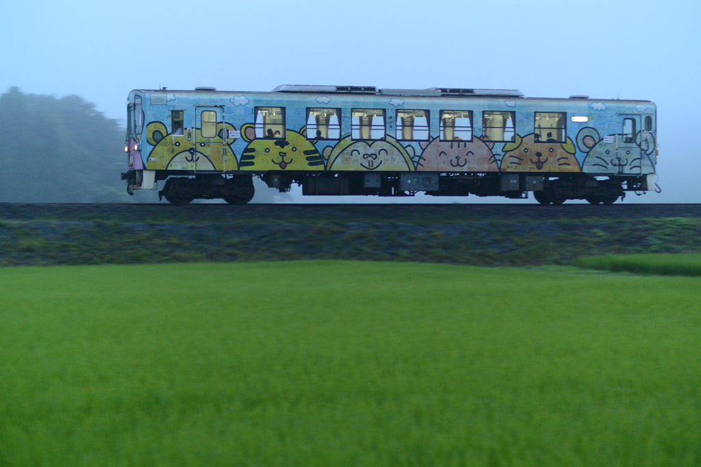 夕霧のアニマル