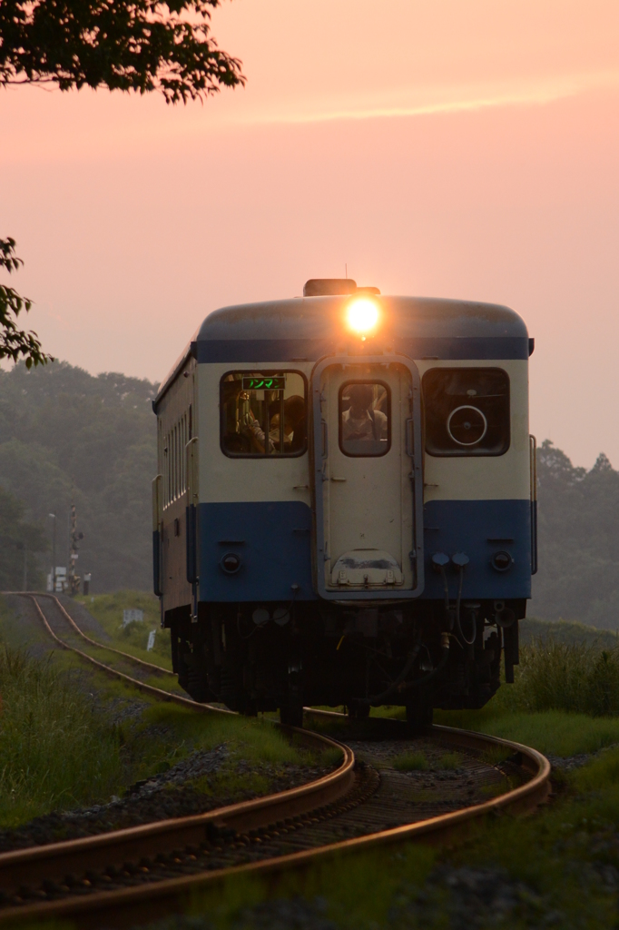 朱鷺色の夕照