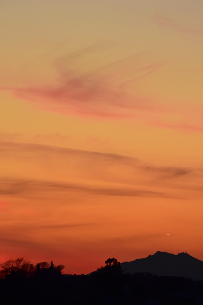 夕鶴舞う