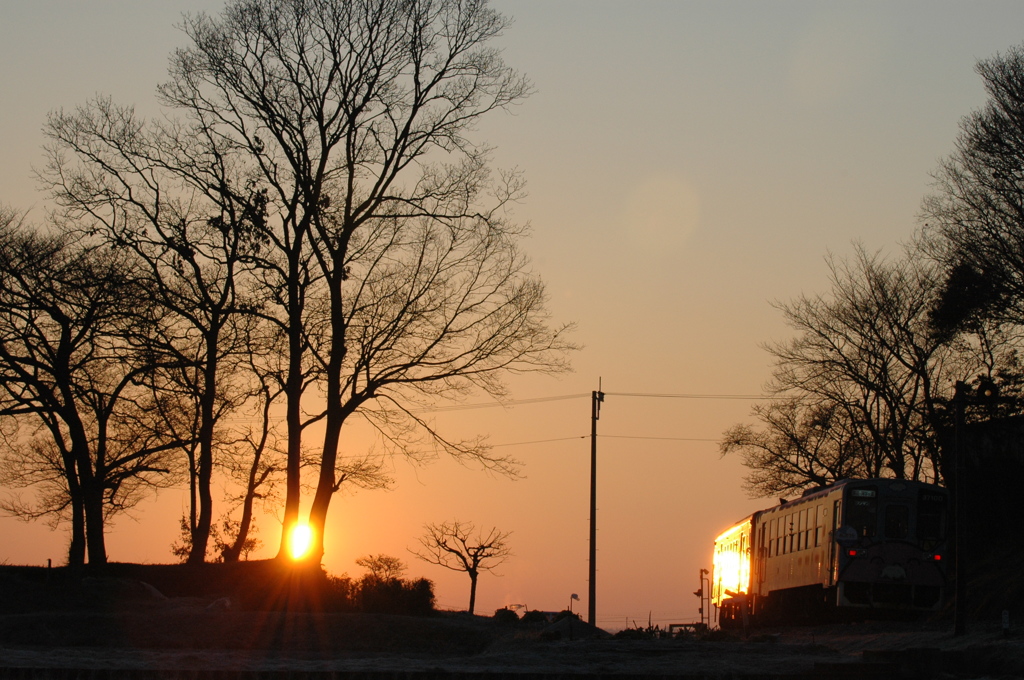 2014年初日の出きらり