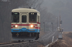 雨に煙るミキ