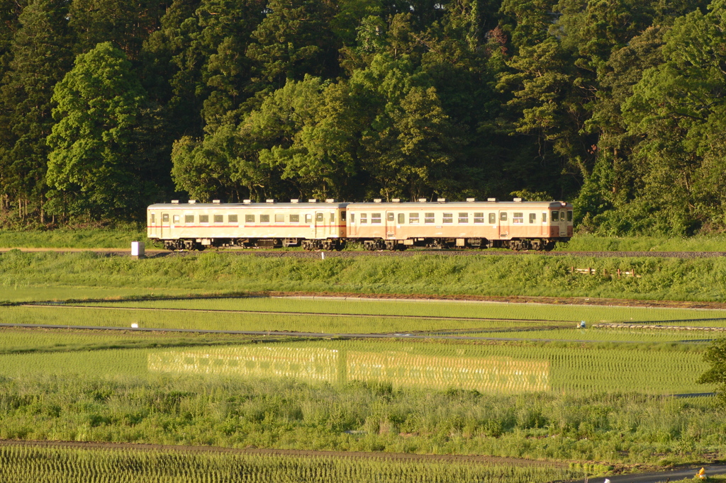 田園風景３